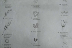 183593386_306968170889607_5800487614970785905_n-e1620414583641